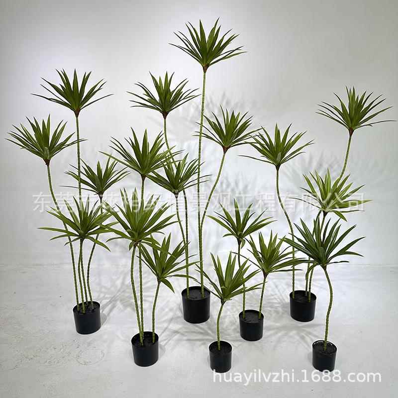 仿真凤尾丝兰树植物热带沙漠剑麻假绿植大型落地盆景橱窗装饰造景