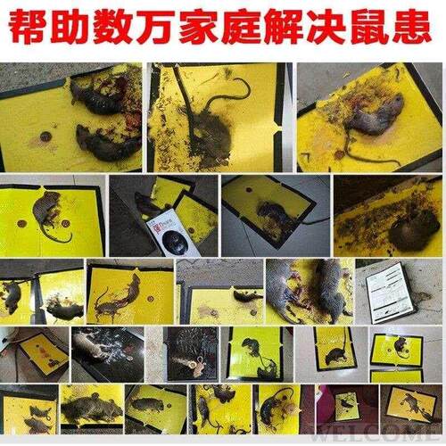 Stick rat board Powerful mouse stick rat trap rat cage mouse