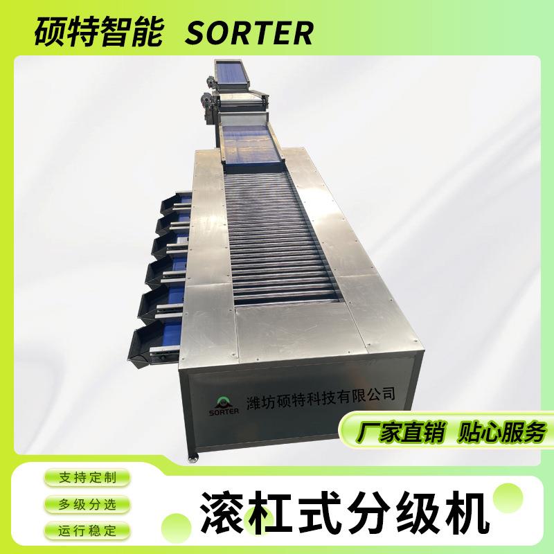 脐橙螺旋直径分选机菠萝果脯大小分拣机芒果干滚杠式选果机
