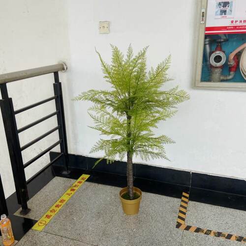 仿真凤尾蕨叶 蕨草植物墙软装造景插花叶材假绿植波斯草凤尾蕨叶