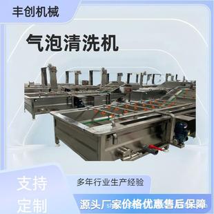 大型气泡清洗机土豆辣椒等蔬菜清洗海鲜类清洗中药材清洗设备商用