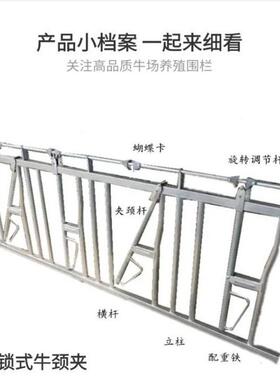养殖颈枷热牛NFN用镀锌固定牛只脖牛卡牛牛颈夹