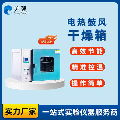 电热恒温鼓风干燥箱小型温工业用烤箱DHG型热风循环烘干机