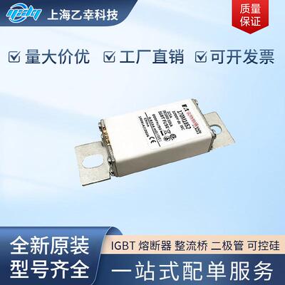 巴斯曼熔断器 170M1855 170M1856 170M1857 170M1858 170M1859