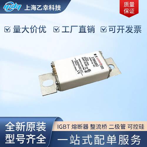巴斯曼熔断器 170M1855 170M1856 170M1857 170M1858 170M1859