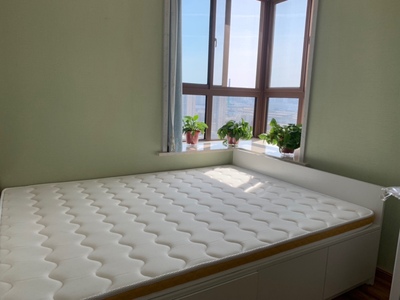 龙凤床垫怎么样?体验一个月彻底爱上了,内幕揭秘