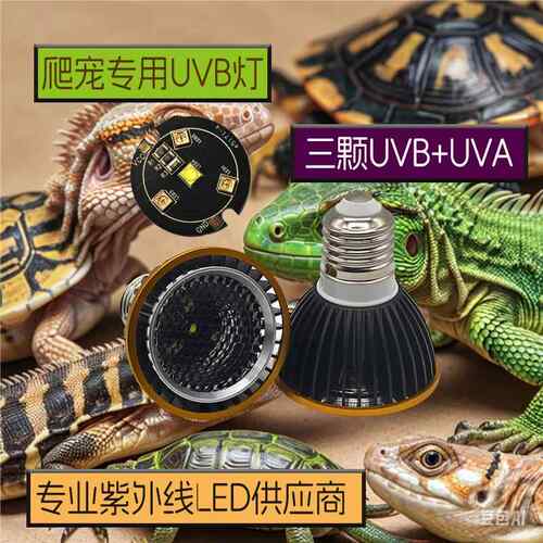 乌龟蜥蜴爬虫晒背灯爬宠颗UVB补钙灯 小太阳宠物UVA加热