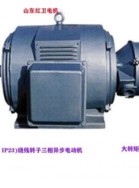 山东淄博厂家直供 YR315M-8/132W YR系列绕线转子三相异步电动机