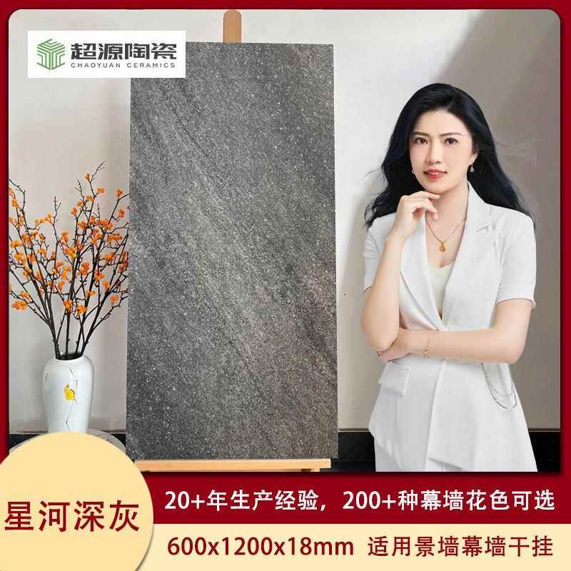 福建晋0江仿花岗岩石材星河灰石英幕墙石英砖60x1m200x8m陶瓷生态