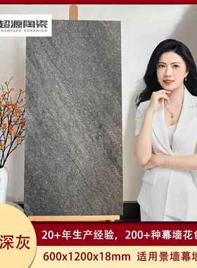 福建晋0江仿花岗岩石材星河灰石英幕墙石英砖60x1m200x8m陶瓷生态