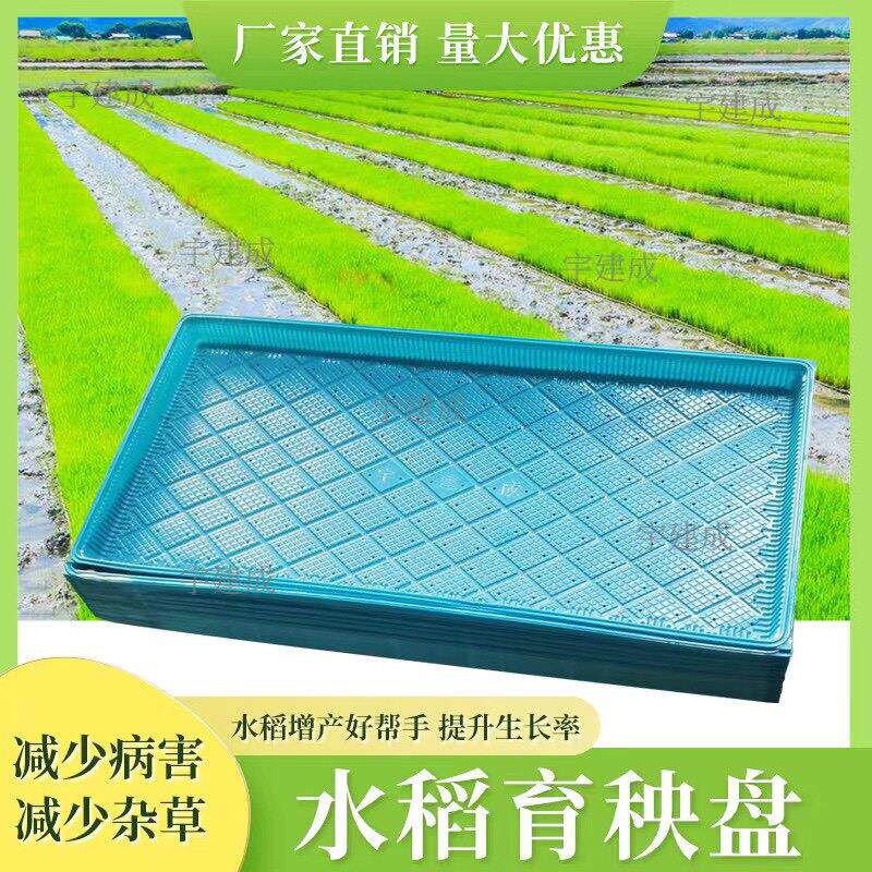 新款水稻育秧盘稻谷育苗盘7寸 9寸塑料机插育苗盘机插平底盘软盘