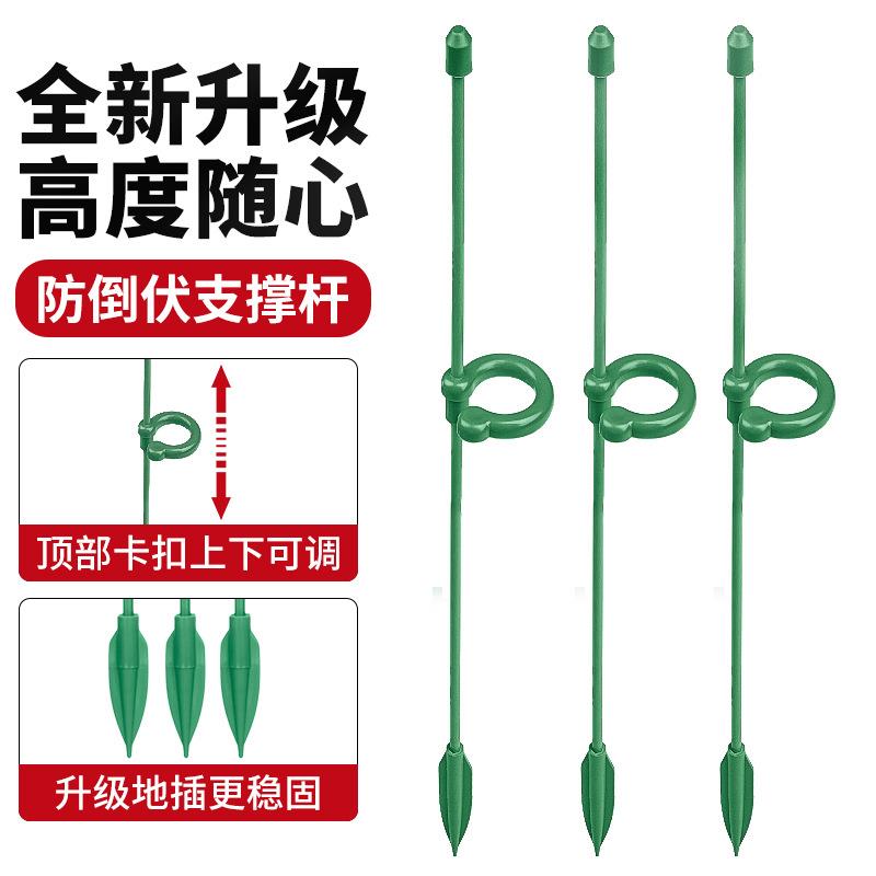 蝴蝶兰专用花架支架植物盆栽花卉造型园艺支撑杆固定防倒伏护叶架