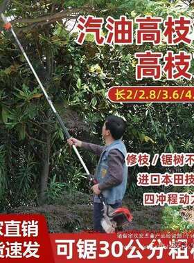 汽油VWN高杆枝锯超园长锯高空锯四冲程长油果修枝锯高杆锯家用高