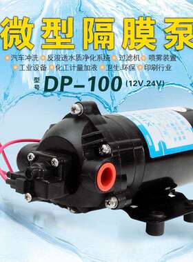 新西山DP-100.100A工业清洗机增压泵RO膜工程橡胶塑料高压隔膜泵