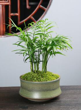 新中式盆景盆栽紫砂铜绿釉大号多肉绿植文竹粗陶透气陶瓷哥窑花盆