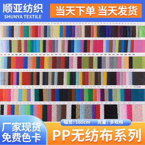 大量彩色现货无纺布 75克100克无妨布 pp无纺布袋 尼龙坎培拉
