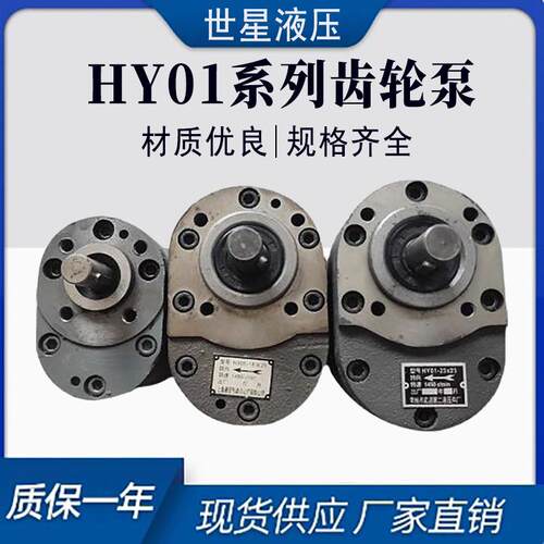HY01全系列齿轮泵HY01-3*5/5*10/8*15/18*25/25*25/50*25/100*25