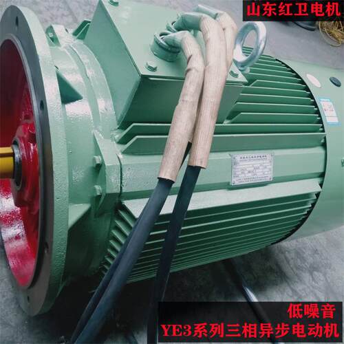 山东源头厂家直供YE3-315M-2/132W三相异步电动机质量保障