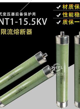XRNT1-15.5KV/20A31.5A40A50A63A80A100A125A 50KA高压限流熔断器