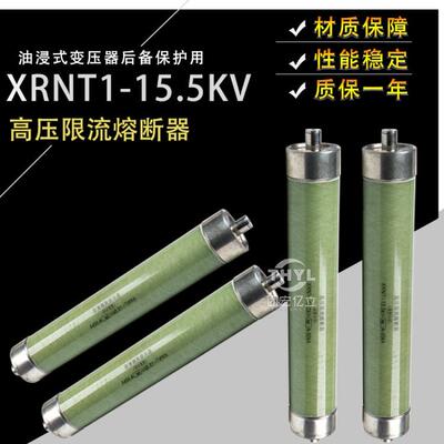XRNT1-15.5KV/20A31.5A40A50A63A80A100A125A 50KA高压限流熔断器