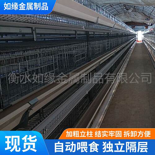 三层小层叠鸡笼固定式升降捡蛋机养殖场自动化养鸡设备层叠式鸡笼
