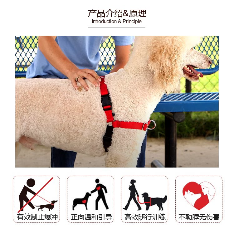 easywalk防爆冲前扣式胸背反光牵引绳中大型犬可调节狗链遛狗神器