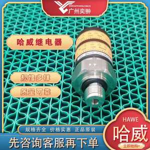 HAWE哈威DG 62 RM-MSD-T7压力继电器原装进口