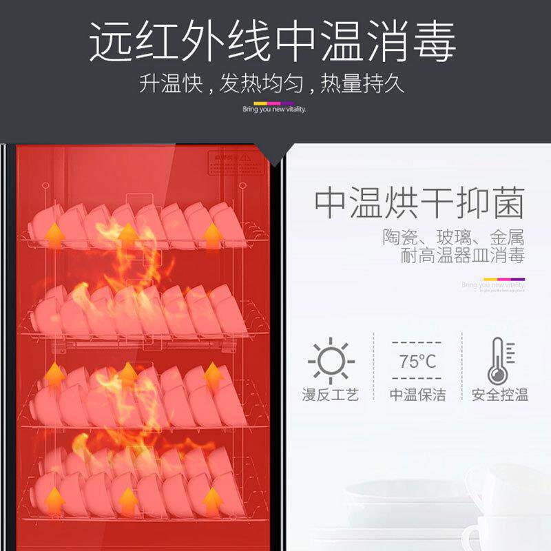 雪傲消毒柜家用大容量商用餐具餐馆饭店双门立式厨房碗筷消毒碗柜
