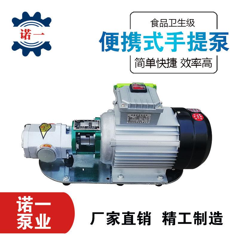 WCB便携式手提齿轮泵小型柴油不锈钢泵220V齿轮油泵机油齿轮泵
