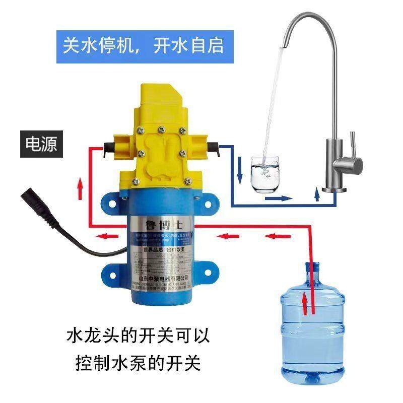 台下桶装水抽水器电动抽水泵车载24V家用厨房220V饮用水吸水器