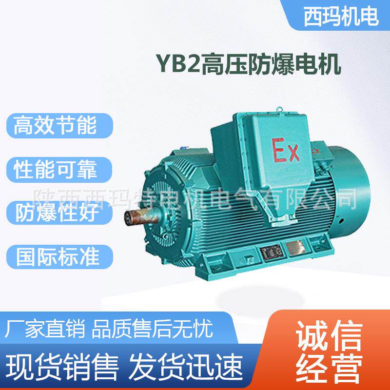 西安西玛电机YB2-4001-2极200KW 10KV高压防爆变频三相异步电动机
