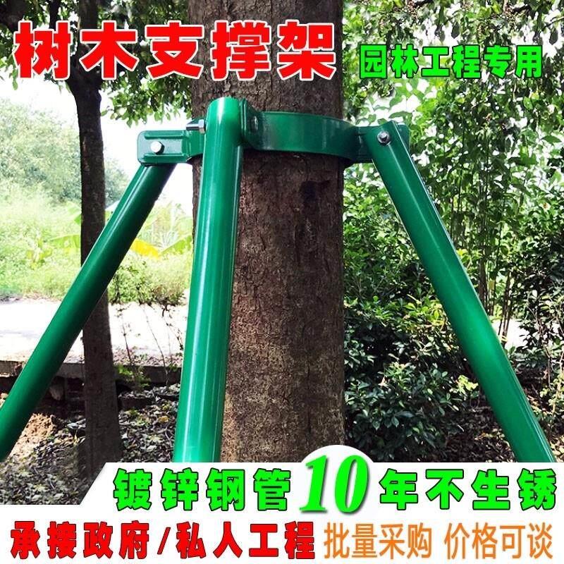 镀锌钢管树木金属撑杆铁抱箍固定器 园林绿化防风大树支撑架
