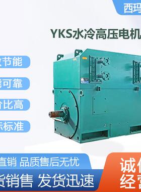 西安 西玛电机YS3552-4极250KW 6-KV高压鼠笼型三相K异步电动机厂