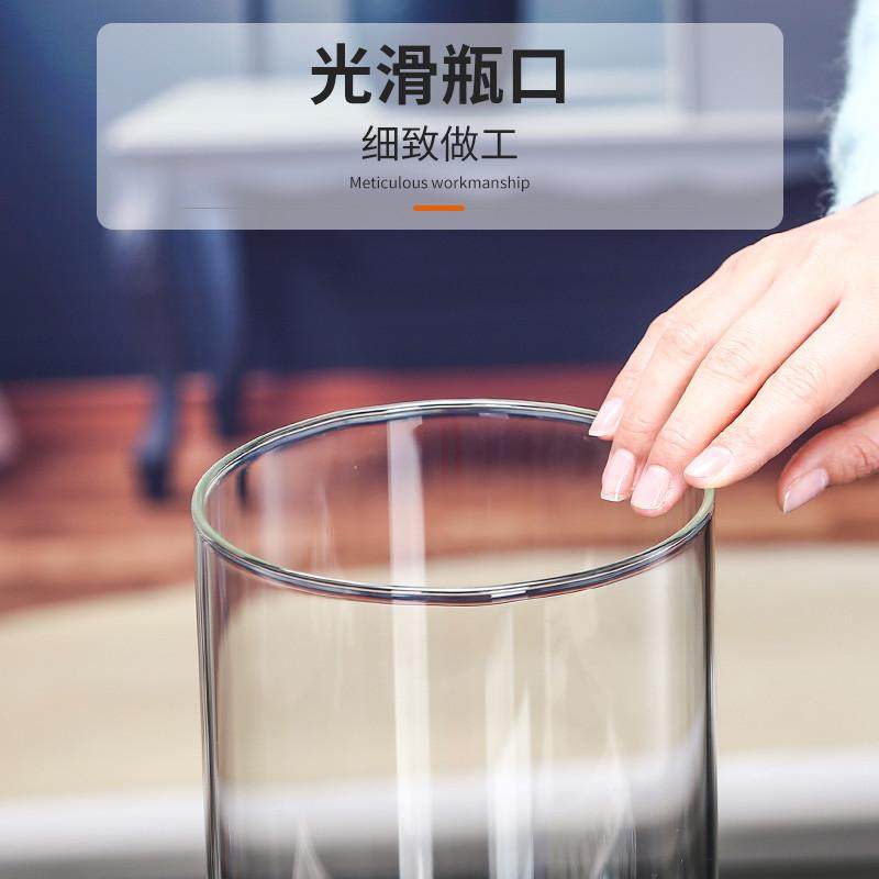 玻璃花瓶透明插花水养马醉木水培富贵竹直筒客厅摆件ins风宁岑宁,家居饰品,花瓶,淘宝优惠券,粉丝福利购,淘宝优惠卷