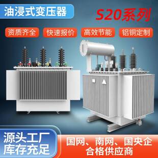 S20油浸式电力变压器全铜压10kv三相125/250/630KVA二级能耗NX2