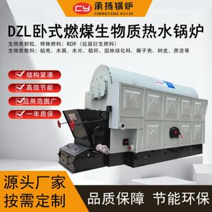 DZL生物质热水锅炉2.8兆瓦燃用椰子壳树皮医院养老院用