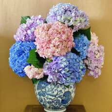 Срок подписки цветов