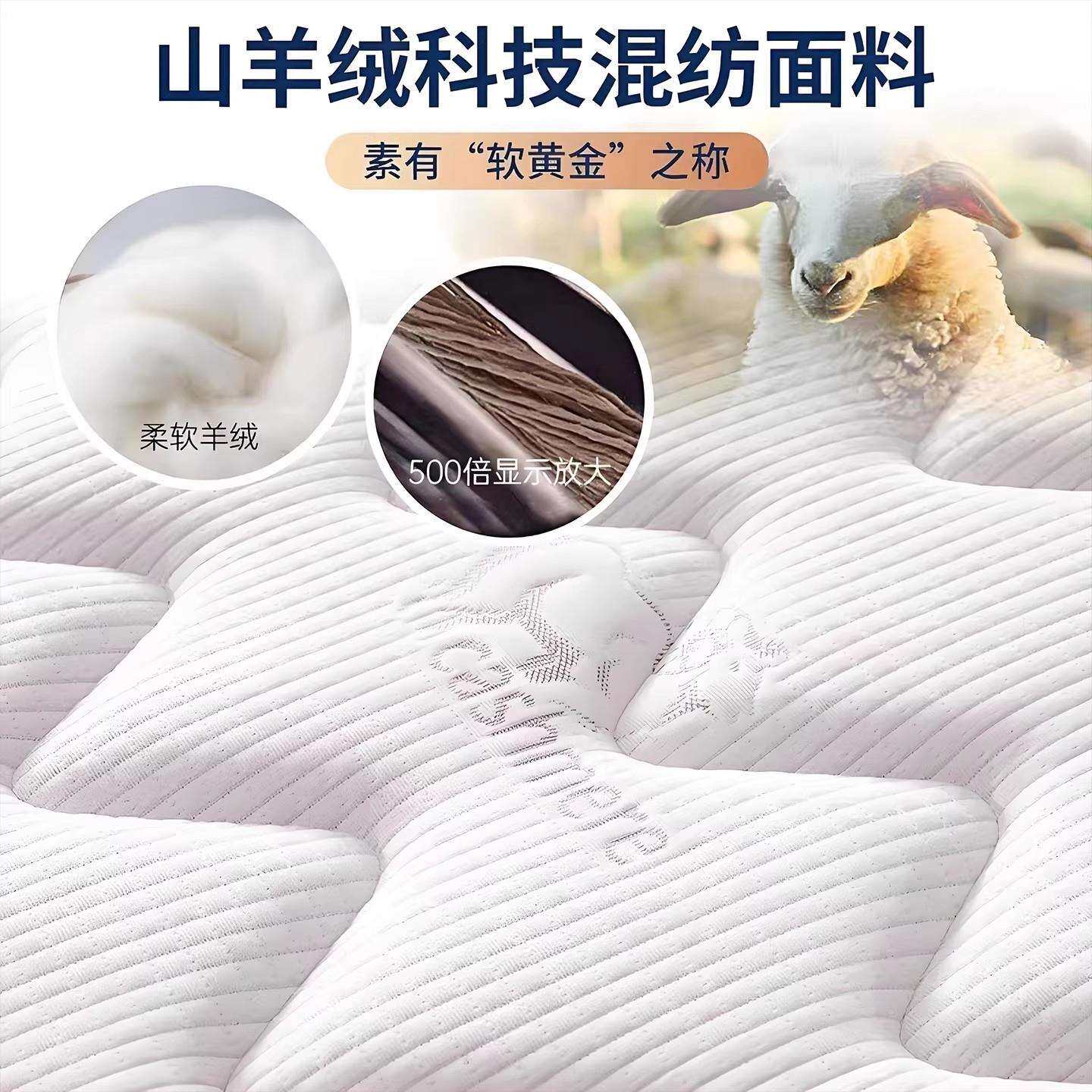 弹簧床垫软硬两用席梦思20cm经济型家用乳胶椰棕床垫租房酒店专用