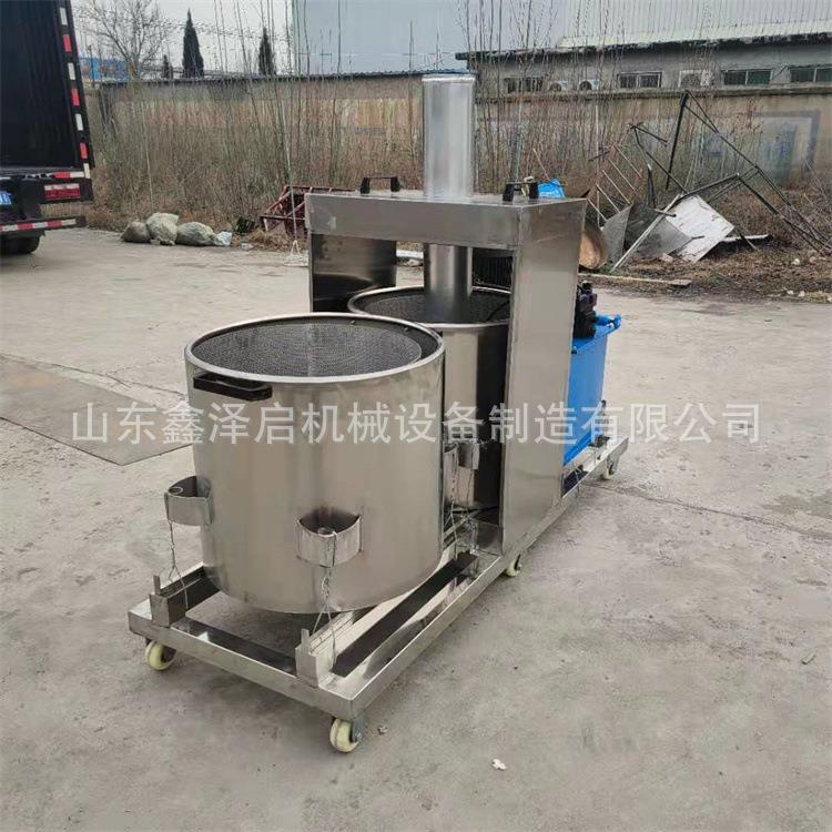 大型蔬菜水果生姜榨汁机芒果毛桃去核压榨机工业南瓜紫薯打浆机