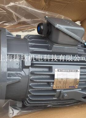 东元TECO电机AEEFF3 15W 20HP 4P高能效电动机