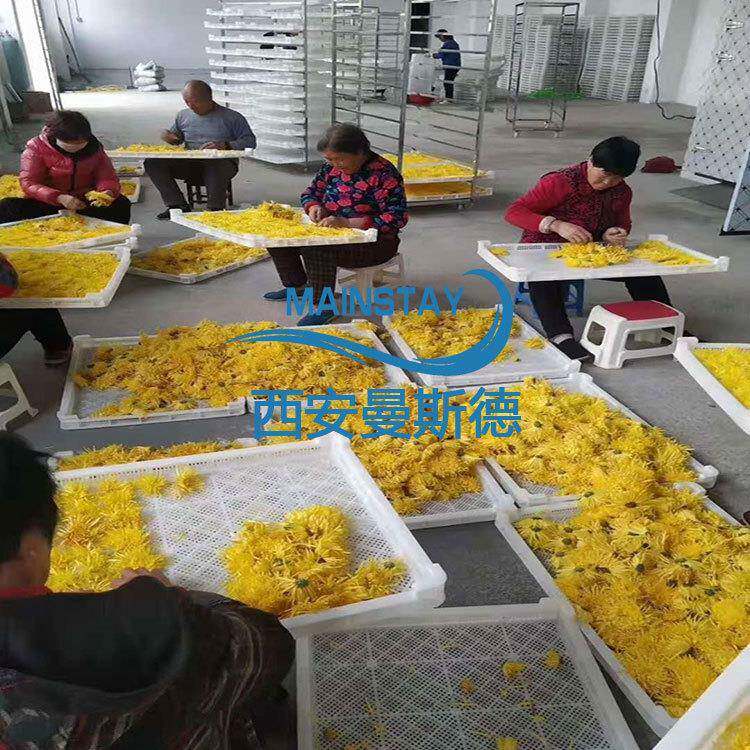 空气能金丝皇菊烘干机 曼斯德烘干设备一键启动 智能化操作
