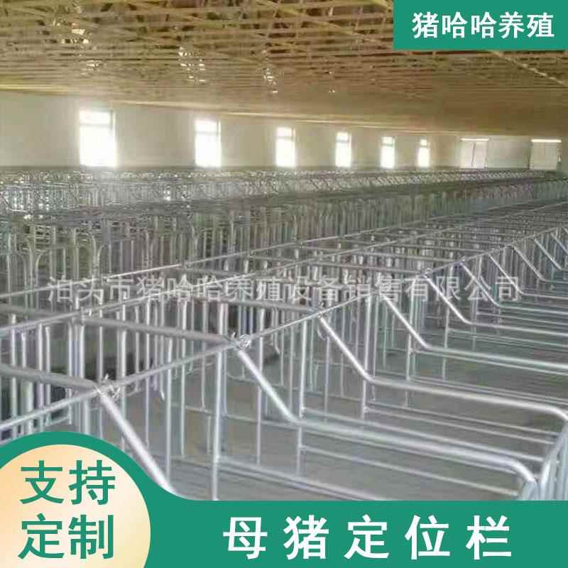 养殖场用单体定位栏养猪设备母猪产床单体双体小猪产床妊娠栏机械