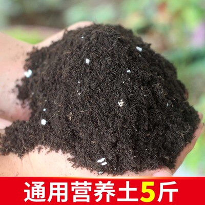 发财树通用营养种花种菜栽培基质