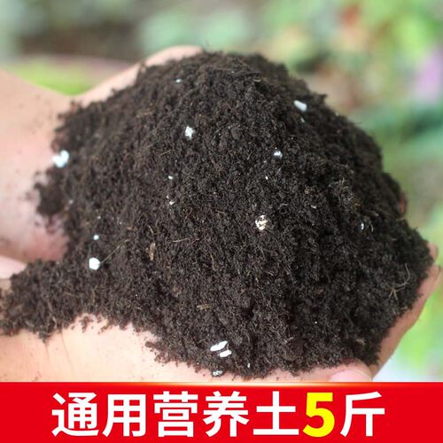 发财树通用营养种花种菜栽培基质
