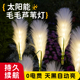 太阳能庭院户外灯毛毛芦苇灯花园阳台布置地插草坪灯装 饰景观氛围