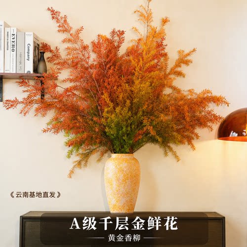 A级千层金鲜花云南基地直发黄金香柳鲜切花绿植家居插花干花花束