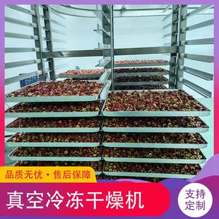 冻干果蔬片冻干机宠物口粮真空冷冻干燥机低能耗鸡肉真空冻干机