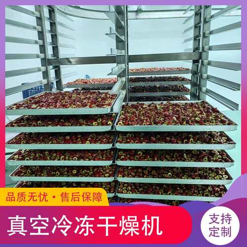 冻干果蔬片冻干机宠物口粮真空冷冻干燥机低能耗鸡肉真空冻干机
