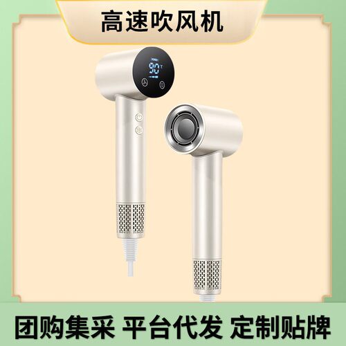 跨境出口吹风机家用大功率负离子网红电吹风筒发廊吹头发大风力