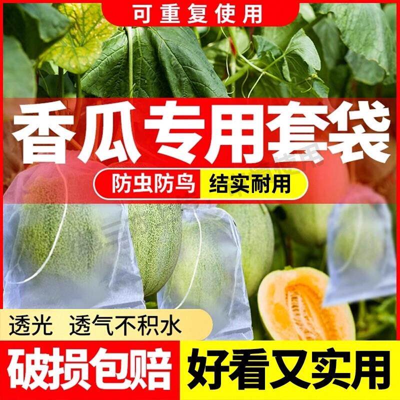 水果套袋防水网纱袋防虫袋果树葡萄桃子草莓保护袋防鸟耐用香瓜